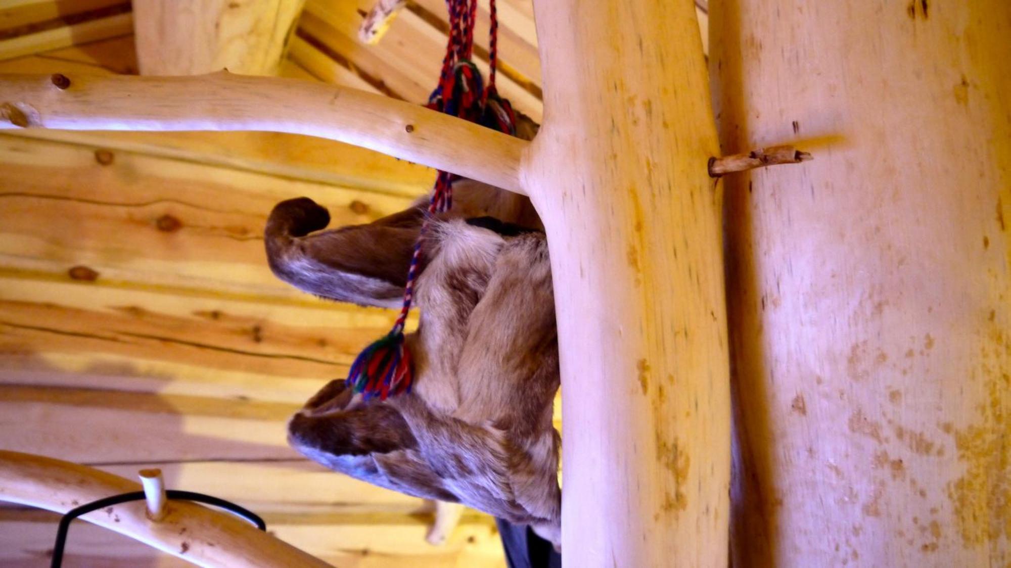 Bardu Huskylodge Extérieur photo